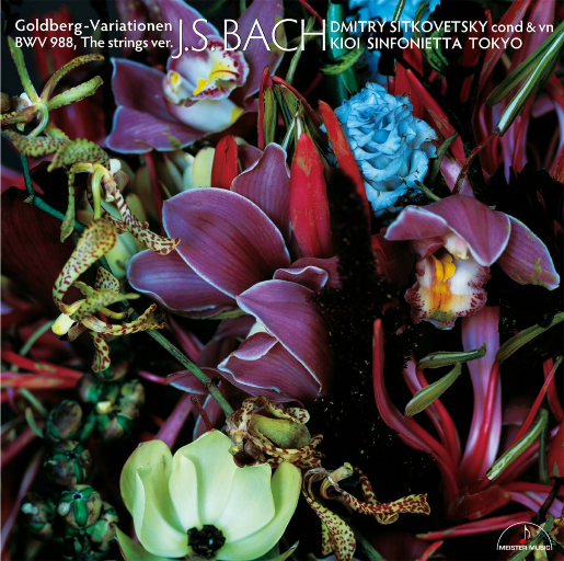 武警GaysexChina武警
